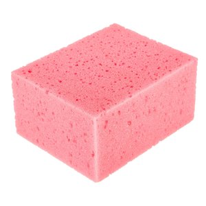 Kakelsvamp