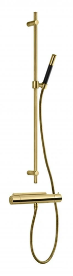 Tapwell Duschset Evo EVM168 + ZSAL300 Honey Gold